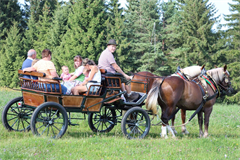 Eine Gruppe von Menschen fährt in einer Pferdekutsche